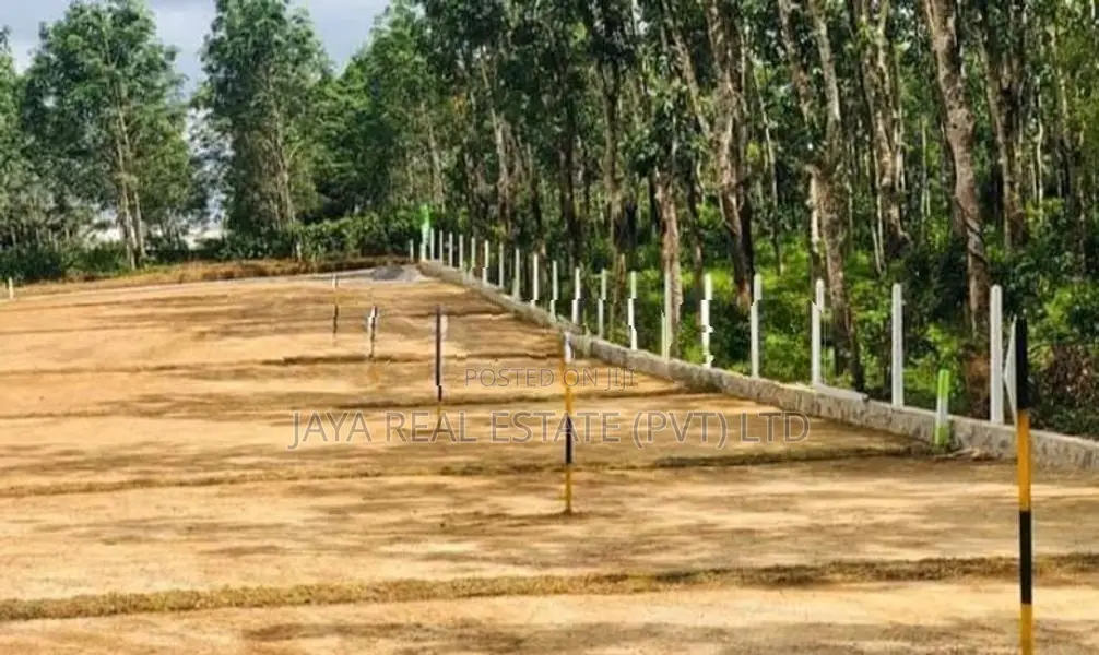 මීරිගම දිවුලපිටිය බස් පාරෙන් ඉඩමක්