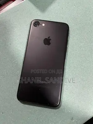 Apple iPhone 7 256 (Used)