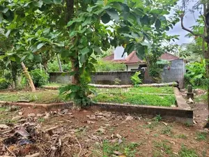 Land for Sale Dankotuwa