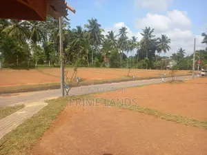 Kahanthota Land for Sale