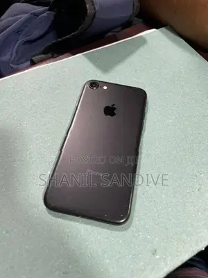 Apple iPhone 7 256 (Used)