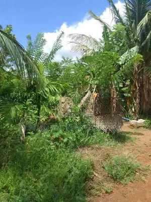 Land For Rent
