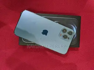 Apple iPhone 12 Pro Max (Used)