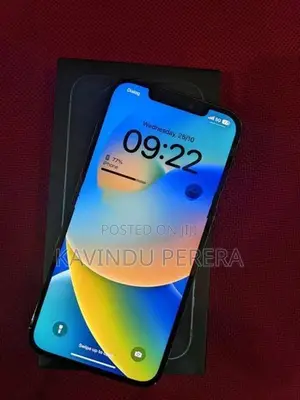 Apple iPhone 12 Pro Max (Used)