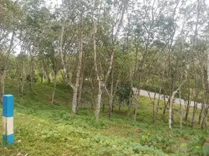 land for sale in Habaraduwa
