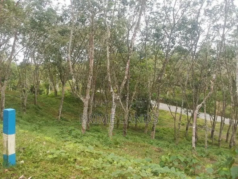 land for sale in Habaraduwa