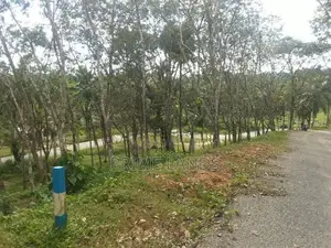land for sale in Habaraduwa