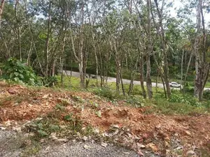 land for sale in Habaraduwa