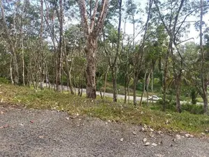 land for sale in Habaraduwa