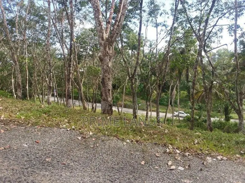 land for sale in Habaraduwa