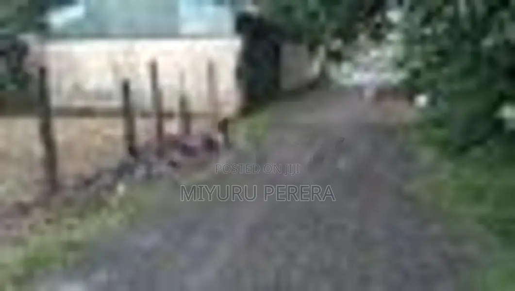 Land for sale in Mattegoda