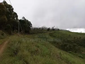 Nuwara Eliya : 40 P Holiday Resort Land for Sale with Excellent View