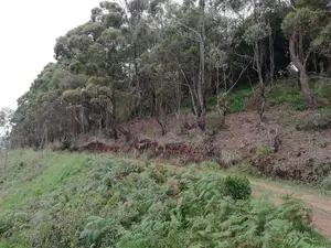 Nuwara Eliya : 40 P Holiday Resort Land for Sale with Excellent View