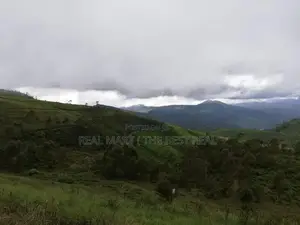 Nuwara Eliya : 40 P Holiday Resort Land for Sale with Excellent View