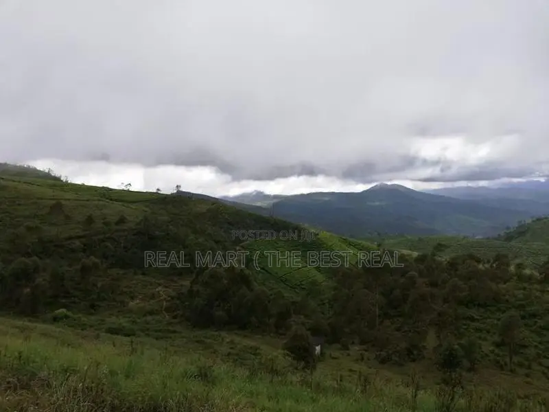 Nuwara Eliya : 40 P Holiday Resort Land for Sale with Excellent View