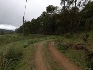 Nuwara Eliya : 40 P Holiday Resort Land for Sale with Excellent View