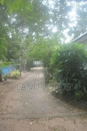 62P Large Land with A House in Pamunugama Ja Ela for Sale