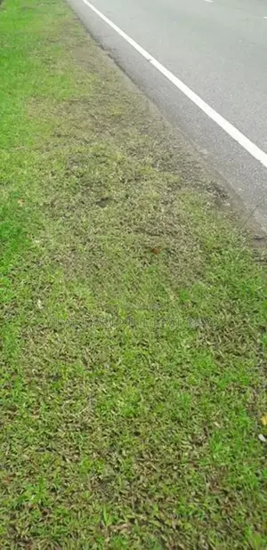 Ragama : 18.67P Highly Residential Land for Sale