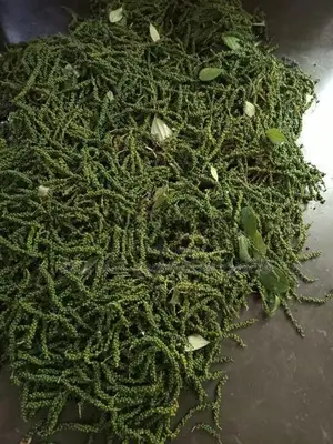 Black Pepper (අමු ගමිමිරිස් )