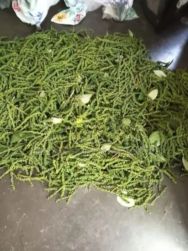 Black Pepper (අමු ගමිමිරිස් )
