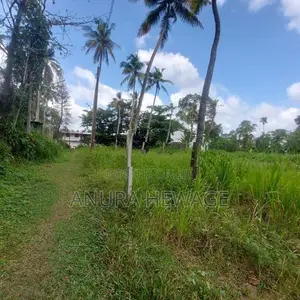 Land for Sale Athurugiriya closer to Highway (ID : AT109)