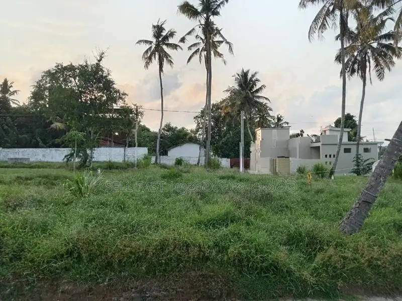 Land for Sale in Minuwangoda Town