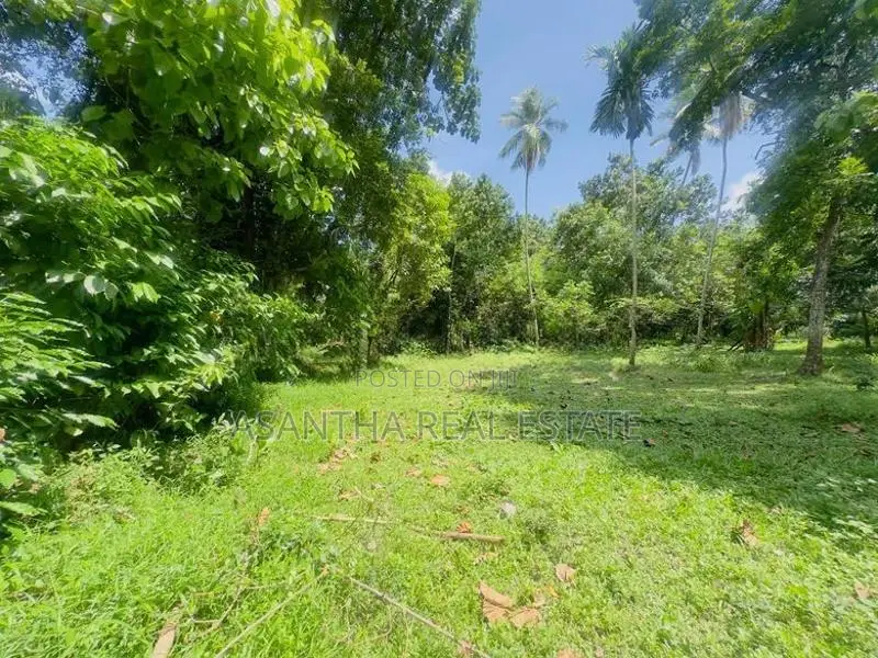 (AF880) 64 P Land Sale in Lake Road Pelawatha Battramulla