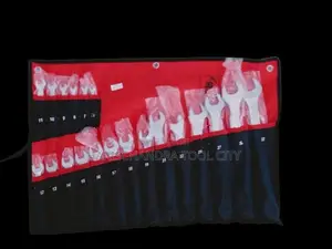DBL Combination Wrench Set 20Pcs