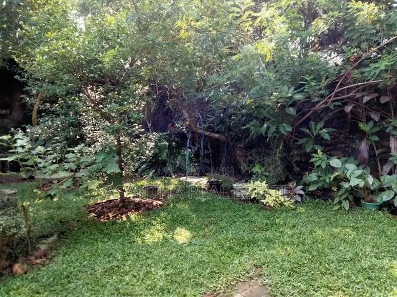(IP05) 33 P Land with 03 Houses Sale at Angampitiya Road, Ethulkotte