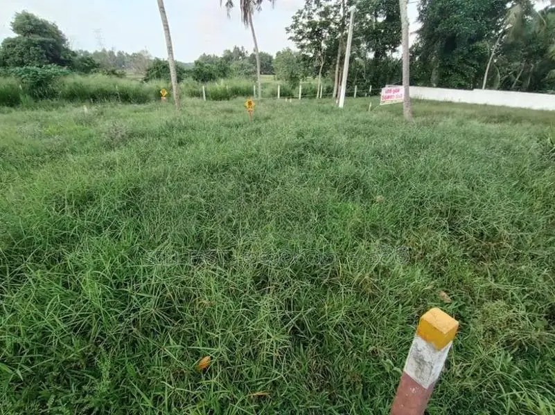 Land for Sale in Minuwangoda Town