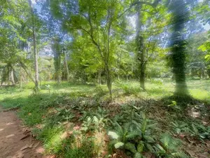 (AF880) 64 P Land Sale in Lake Road Pelawatha Battramulla