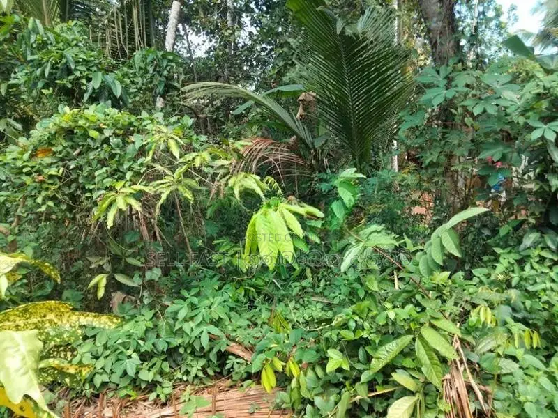Land for Sale in Nadagamuwa, Gampaha
