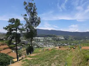Holiday bungalow bear Land for sale Nuwaraeliya
