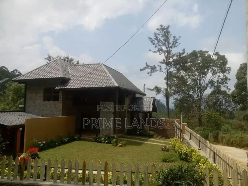 Tea land of sale pussellawa Nuwaraeliya Road