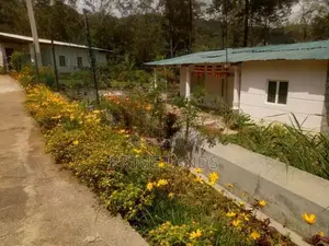 Tea land of sale pussellawa Nuwaraeliya Road