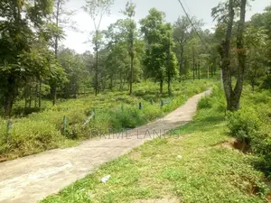 Tea land of sale pussellawa Nuwaraeliya Road