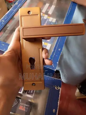 Luxury Door Locks