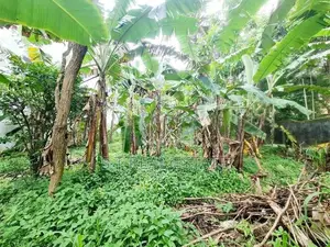 20P Rectangular Bare Land For Sale In Thalawathugoda