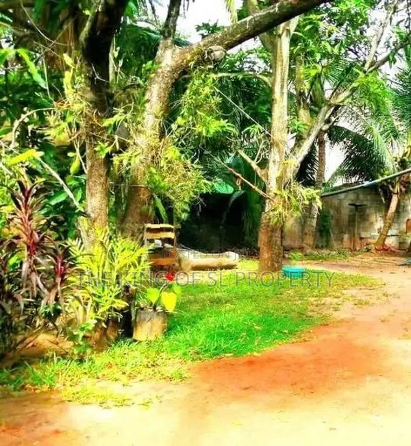 Land for Sale in Rathmalana