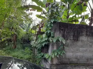 Land for Sale in Malabe