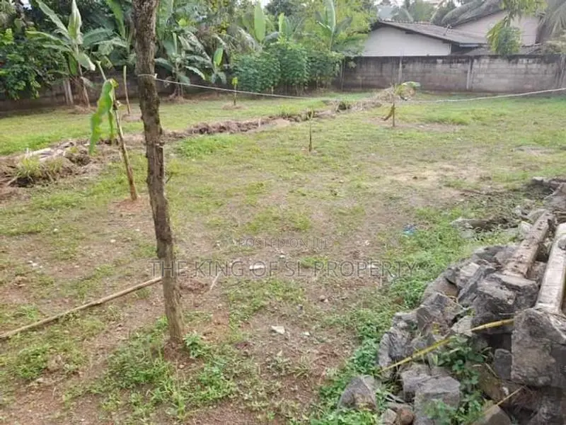 Land for Sale in Malabe