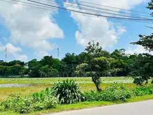 (Arn114) Bare Land for sale in Pelawatha, Battaramulla