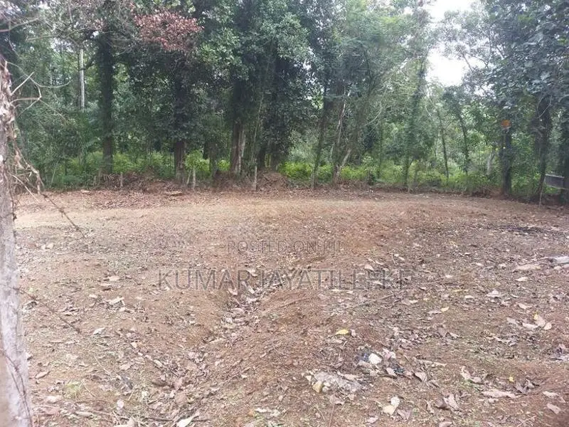 Horana Ballapitiya - 18 Perch Block of Land for Sale