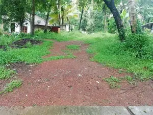 Ganemulla : 46P Highly Residential Land for Sale