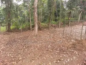 Horana Ballapitiya - 18 Perch Block of Land for Sale