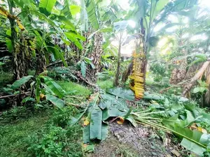 9P Residential Bare Land For Sale In Nawala