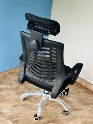 Mesh Seebra Chair with Head Rest