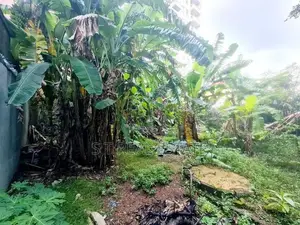 8.87P Prime Bare Land For Sale In Nawala