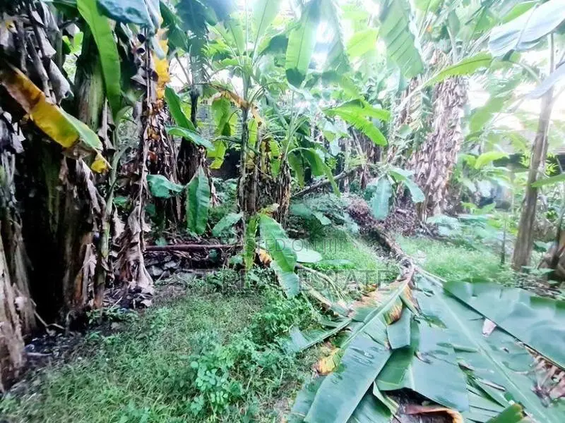 9P Residential Bare Land For Sale In Nawala