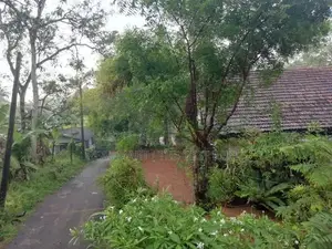 Ganemulla : 46P Highly Residential Land for Sale